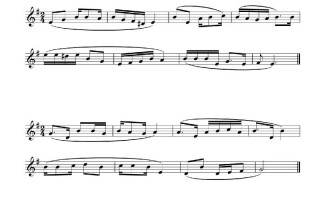 济南大学音乐联考考什么？