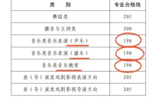 河南音乐表演专科93分算高分吗？