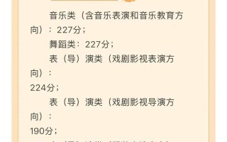 湖北音乐类艺术联考由谁负责？