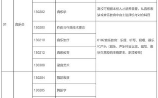 音乐类舞蹈专业就业方向