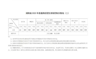 2025湖南音乐分数线