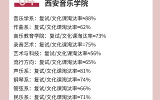 新高考改革音乐怎么考