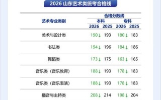 济宁副高艺考成绩何时可查？