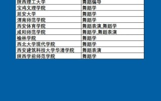 舞蹈艺考能报哪些大学？