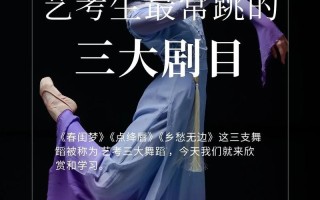 艺考生如何高效练好舞蹈剧目？