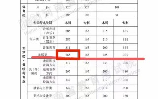 山东体育舞蹈高考分数线是多少？