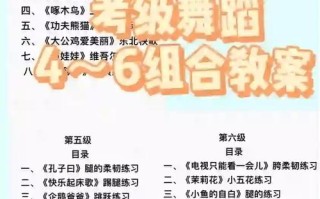 韶关哪里能考舞蹈等级？