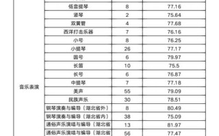 武汉大学音乐生学费开销多少？