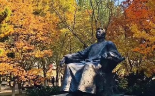 鲁迅美术考题2025会考什么内容？