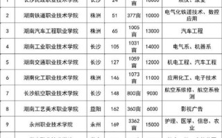 湖南湘西专业学音乐排名