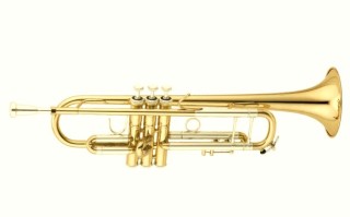 延边大学音乐学院 小号