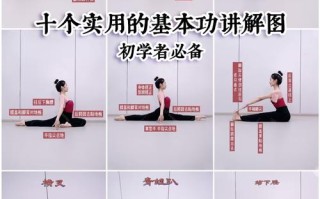 舞蹈专业基本动作有哪些