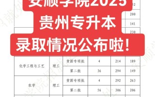 安顺学院舞蹈录取分数线是多少？