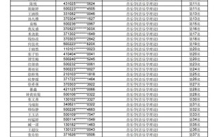 2025年音乐分数排名出炉，谁是冠军？