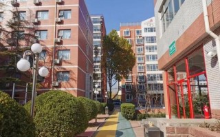 北京市爱莲舞蹈学校大专怎么样？