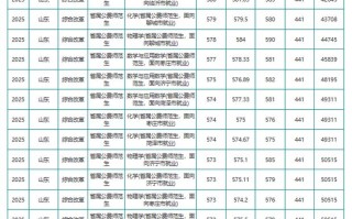 聊城大学2025美术录取分数线