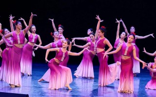 舞蹈表演是专业吗？