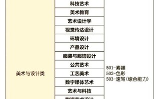 美术艺考能自主选考科目吗？