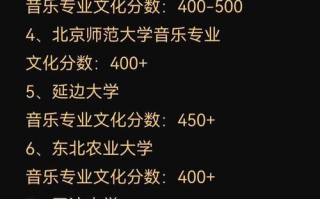 河南音乐艺生500分算高吗？