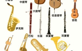 音乐专业选修乐器，哪个更适合发展？