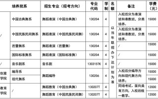 民办本科舞蹈大学有哪些？