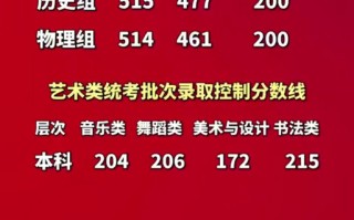 2025安徽音乐综合分