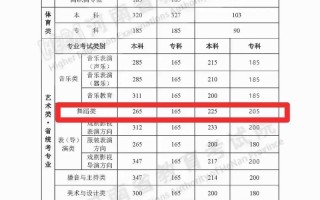 重庆舞蹈专业联考分数线是多少？