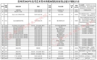 2025贵州艺考志愿怎么填？规则与策略有哪些？