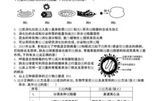 2025年七省七校联考考什么？