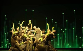 长春吉林艺术学院舞蹈有何特色？