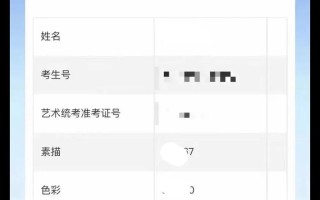 中南大学美术校考成绩何时出？