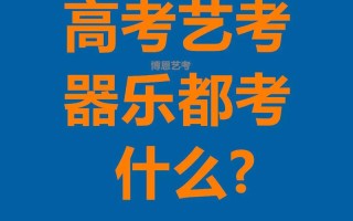 江苏音乐统考器乐考什么