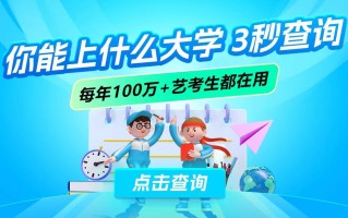 海南艺考成绩查询网址是什么？