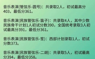 上海音乐学院舞蹈分数多少？