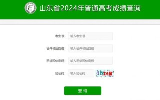 山东统考联考成绩怎么查？