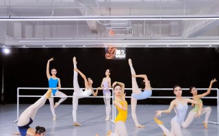 巢湖舞蹈艺考培训哪家更专业？