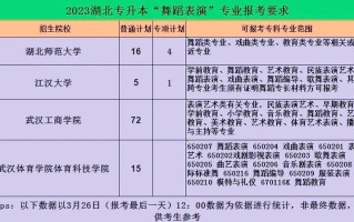 湖北舞蹈研究生学校排名