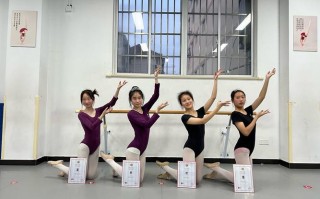 山西戏剧职业学院舞蹈系有何特色？
