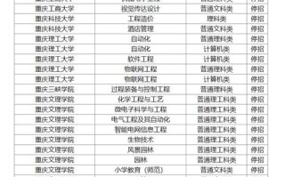 重庆音乐院校有哪些专业可选？