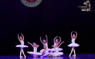 音乐表演属于音乐舞蹈学