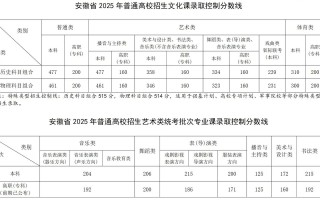 安徽艺术舞蹈类高考属于哪个模块？