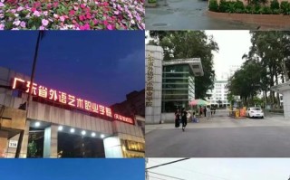 广东外语音乐舞蹈学院有何特色与优势？