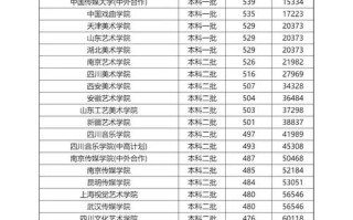 低分艺考生也能圆大学梦吗？