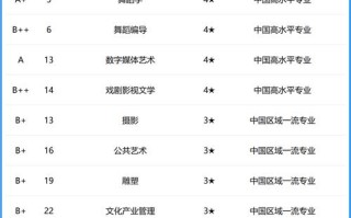 成都哪些大学招收音乐专业？