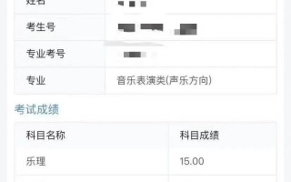 2025器乐生艺考成绩何时公布？