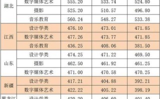 湖北南贸学院舞蹈分数线多少？