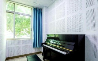 惠州学院音乐表演是几本