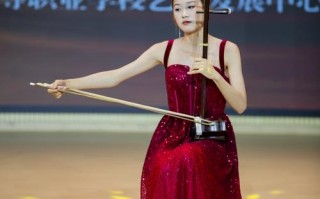 艺考才艺表演选什么乐器好？