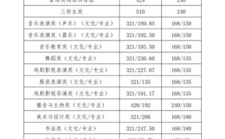 体育舞蹈2025分数线