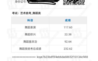 河北舞蹈联考成绩分布有何特点？